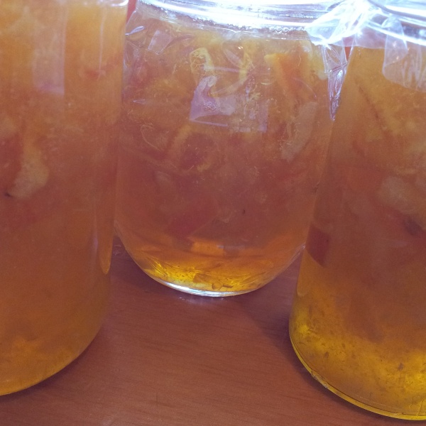 An excellent Marmalade made from  Ben Yen lemons, Tangellos and one Kaffir Lime.